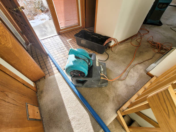 Reliable WY Water damage restoration Solutions