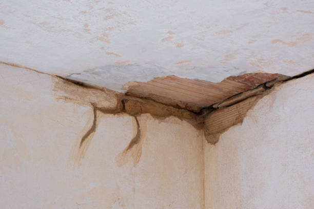 Best Basement water damage restoration  in Buffalo, WY