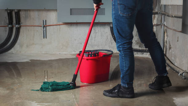 Best Fire Damage Restoration  in Buffalo, WY