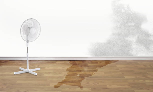 Best Flood restoration services  in Buffalo, WY