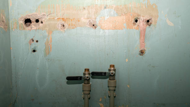 Best Sewage cleanup and water damage restoration  in Buffalo, WY